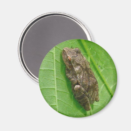 Spring Peeper (Pseudacris crucifer) Treefrog Items Magneet (Voorkant / Achterkant)