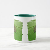 Spring Peeper (Pseudacris crucifer) Treefrog Items Mok (Midden)