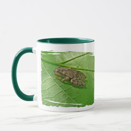 Spring Peeper (Pseudacris crucifer) Treefrog Items Mok (Links)