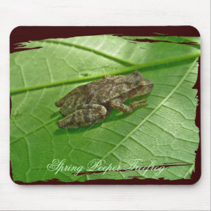 Spring Peeper (Pseudacris crucifer) Treefrog Items Muismat