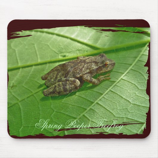 Spring Peeper (Pseudacris crucifer) Treefrog Items Muismat (Voorkant)