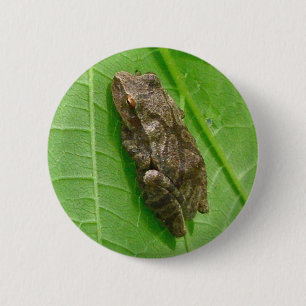 Spring Peeper (Pseudacris crucifer) Treefrog Items Ronde Button 5,7 Cm
