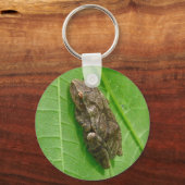Spring Peeper (Pseudacris crucifer) Treefrog Items Sleutelhanger (Voorkant)
