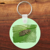 Spring Peeper (Pseudacris crucifer) Treefrog Items Sleutelhanger (Voorkant)