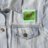 Spring Peeper (Pseudacris crucifer) Treefrog Items Vierkante Button 5,1 Cm (In situ)