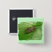 Spring Peeper (Pseudacris crucifer) Treefrog Items Vierkante Button 5,1 Cm (Voorkant /achterkant)
