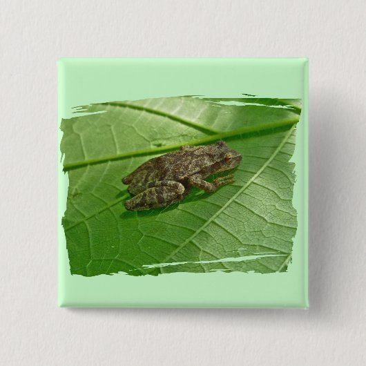 Spring Peeper (Pseudacris crucifer) Treefrog Items Vierkante Button 5,1 Cm (Voorkant)