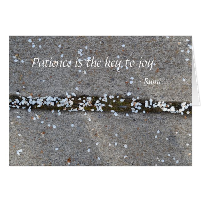 Spring Petals Rumi Joy (Voorkant Horizontaal)