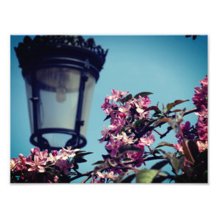 Spring Photo Value Poster papier