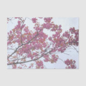 Spring Pink Cherry Blossoms Blue Sky Hanami Tissuepapier (Voorkant)