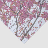 Spring Pink Cherry Blossoms Blue Sky Hanami Tissuepapier (Detail)