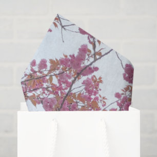 Spring Pink Cherry Blossoms Blue Sky Hanami Tissuepapier