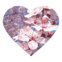 Spring Pink Tree Blossom Flowers stickers zeehonde