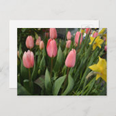 Spring pink tulip flowers happy birthday briefkaart (Voorkant / Achterkant)