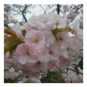 Spring Pinky Poster (Voorkant)