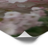 Spring Pinky Poster (Hoek)