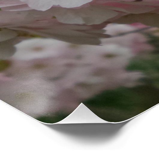 Spring Pinky Poster (Hoek)