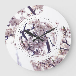 Spring Plum Blossom Tree Elegant Natuur Foto Grote Klok