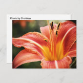 Spring Poetry Briefkaart (Voorkant / Achterkant)