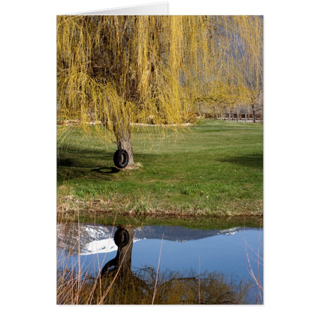 Spring Pond Comfort Card (Voorkant)