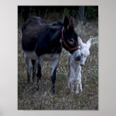 SPRING POSTER (Voorkant)