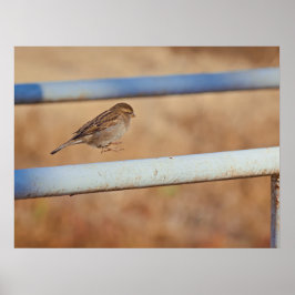 Spring Poster