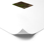 Spring  poster (Hoek)