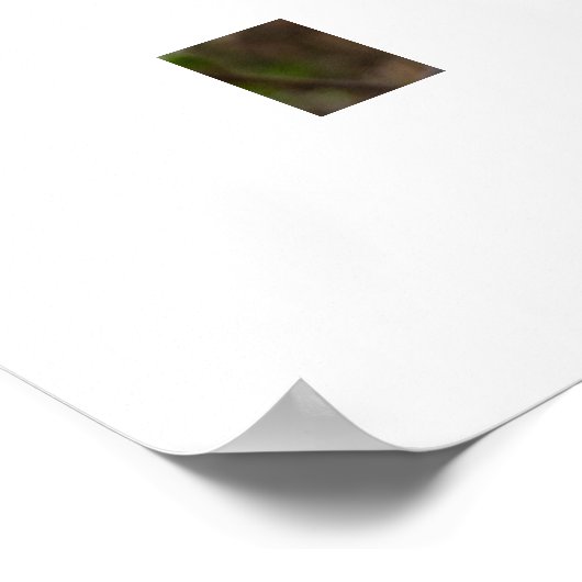 Spring poster (Hoek)