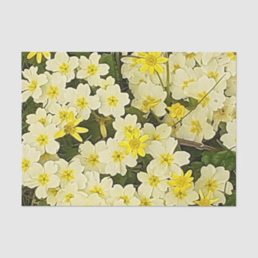 Spring Primrose Tissuepapier (Voorkant)