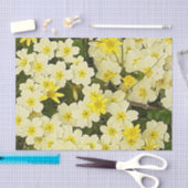 Spring Primrose Tissuepapier (Craft)