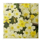 Spring Primroses keramische tegels Tegeltje (Voorkant)