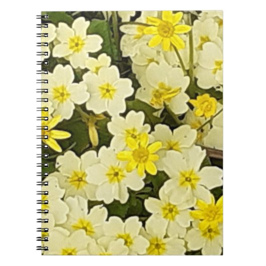 Spring Primroses Photo Notitieboek (Voorkant)