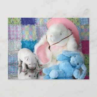 Spring Puppy Love Briefkaart