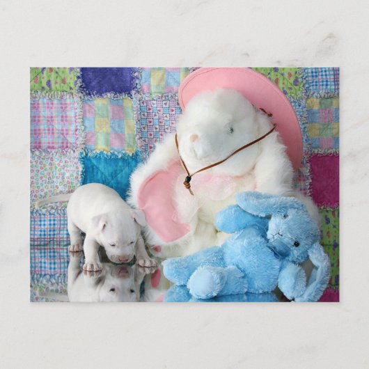 Spring Puppy Love Briefkaart (Voorkant)