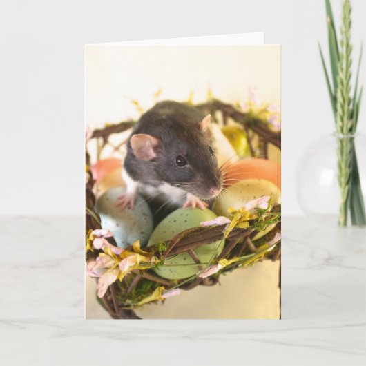 Spring Rat Card Feestdagen Kaart (Voorkant)