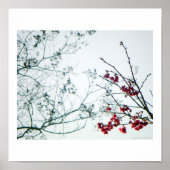 Spring Reach-Out/Cherry Blossom-print Poster (Voorkant)