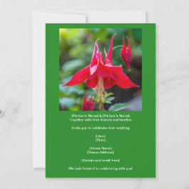 Spring Red Columbine Native Flower on Green Kaart
