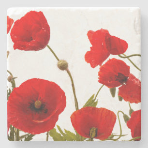Spring Red Poppy Flowers Floral White Trendy Cute Stenen Onderzetter