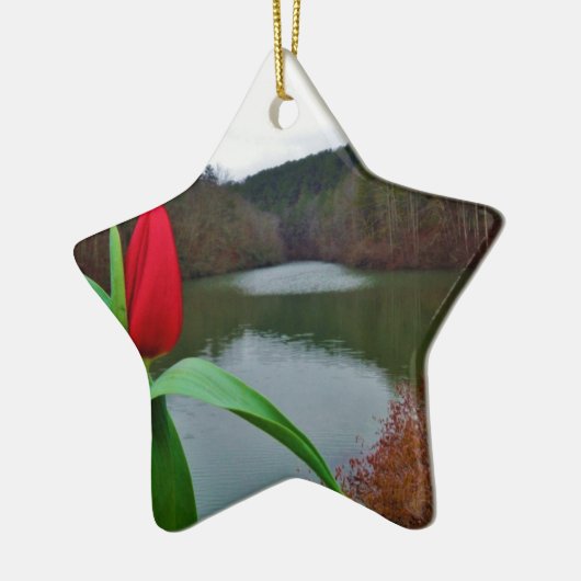 Spring Red Tulip at Lake Arrowhead Keramisch Ornament (Links)
