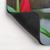 Spring Red Tulip at Lake Arrowhead Muismat (Hoek)