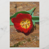Spring Red Tulip Briefpapier (Voorkant)