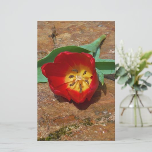 Spring Red Tulip Briefpapier (Staand voorkant)