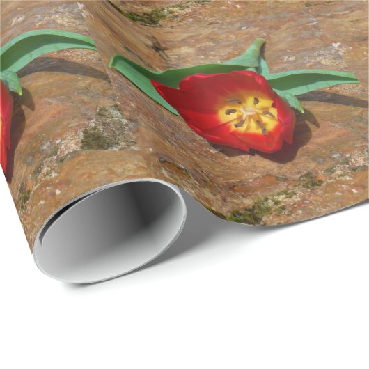 Spring Red Tulip Cadeaupapier (Rol Hoek)