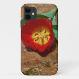 Spring Red Tulip iPhone 11 Hoesje