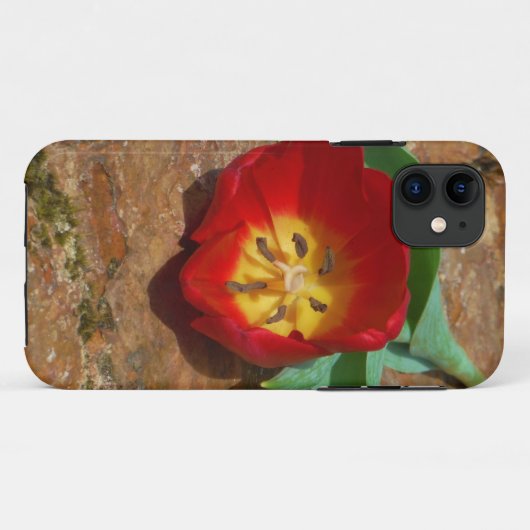 Spring Red Tulip Case-Mate iPhone Case (Achterkant (horizontaal))