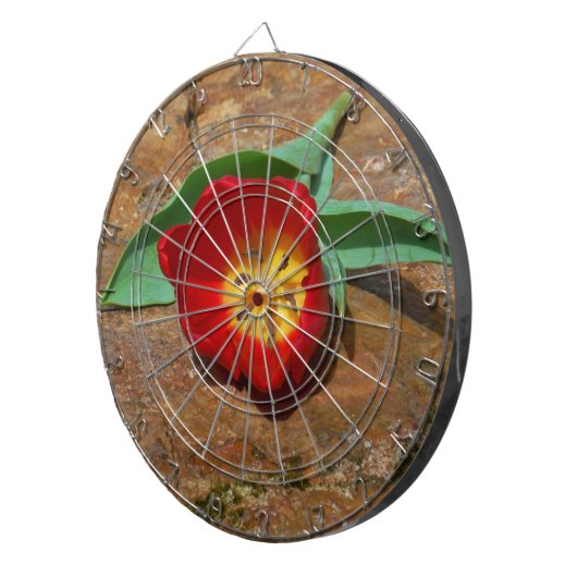 Spring Red Tulip Dartbord (Voorkant Rechts)