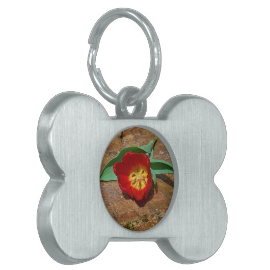 Spring Red Tulip Huisdieren Naamplaatje (Voorkant Links)