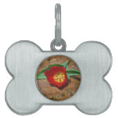 Spring Red Tulip Huisdieren Naamplaatje (voorkant)