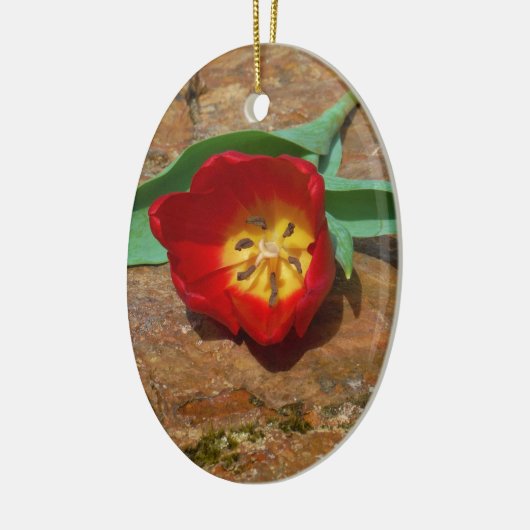 Spring Red Tulip Keramisch Ornament (Links)