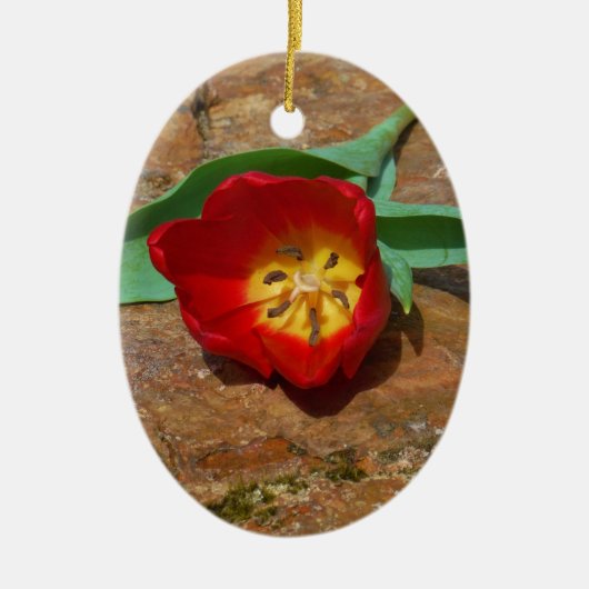 Spring Red Tulip Keramisch Ornament (Voorkant)